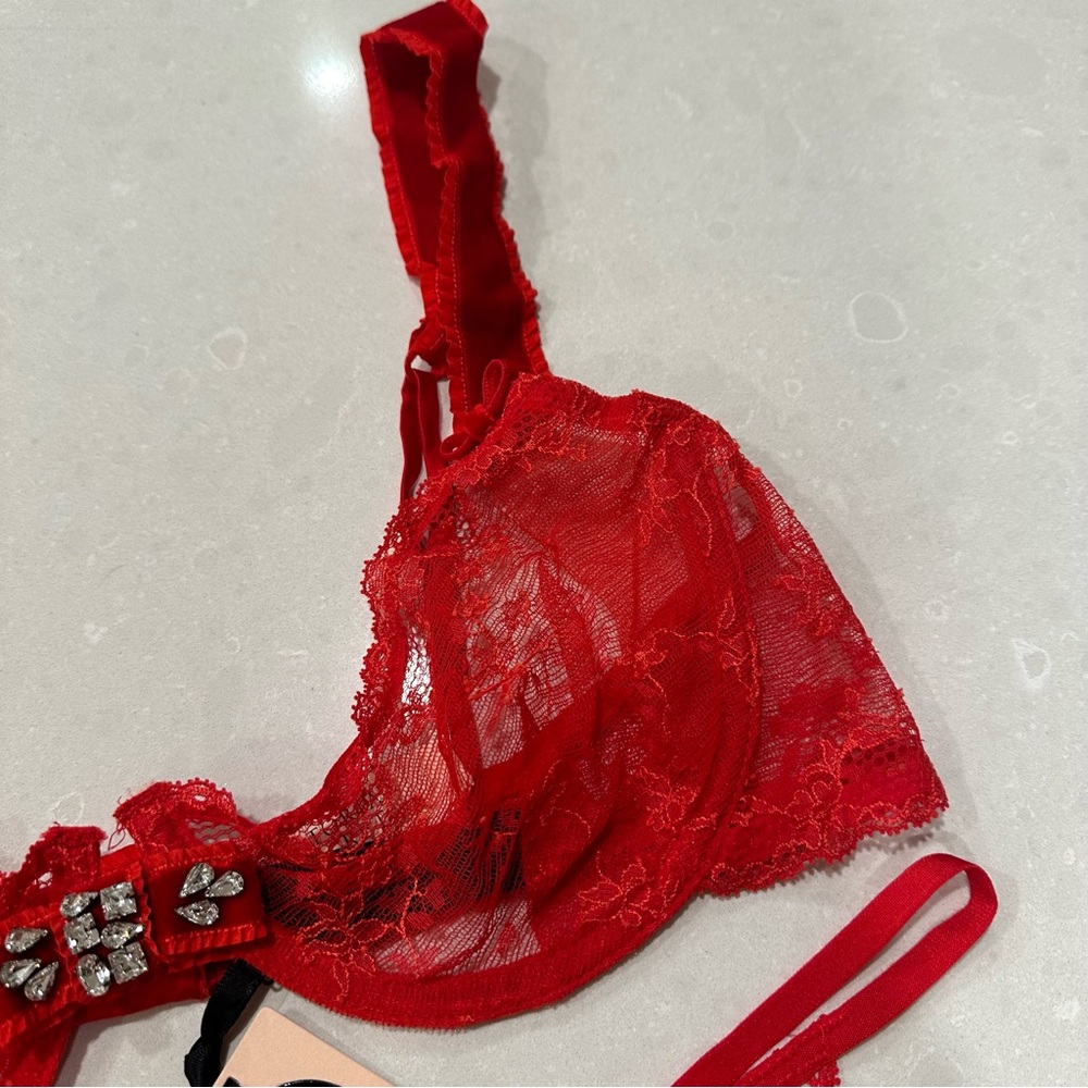 Victoria's Secret Designer Fashion Show 2013 Swarovski Crystal Red Bra & Panty - Picture 7 of 14